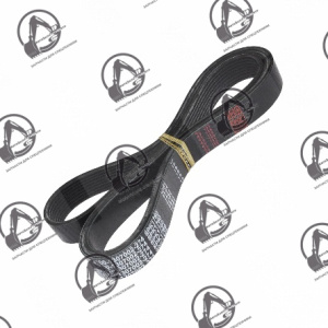 Ремень генератора двигателя Shanghai SC5D125/8PK1535/8PK1550